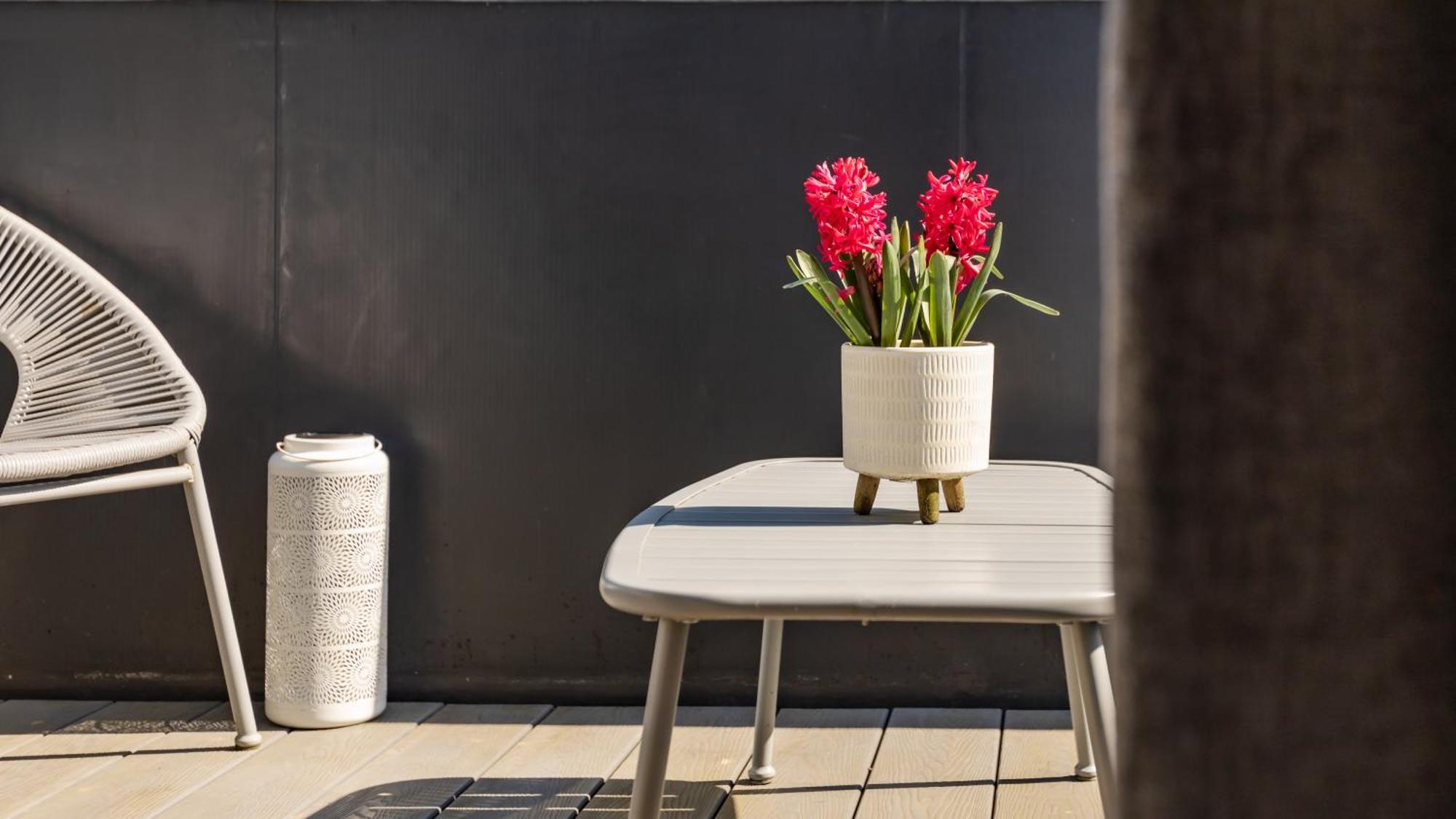 Tucked Away - Seaside Home In Anstruther Sleeps 6 المظهر الخارجي الصورة