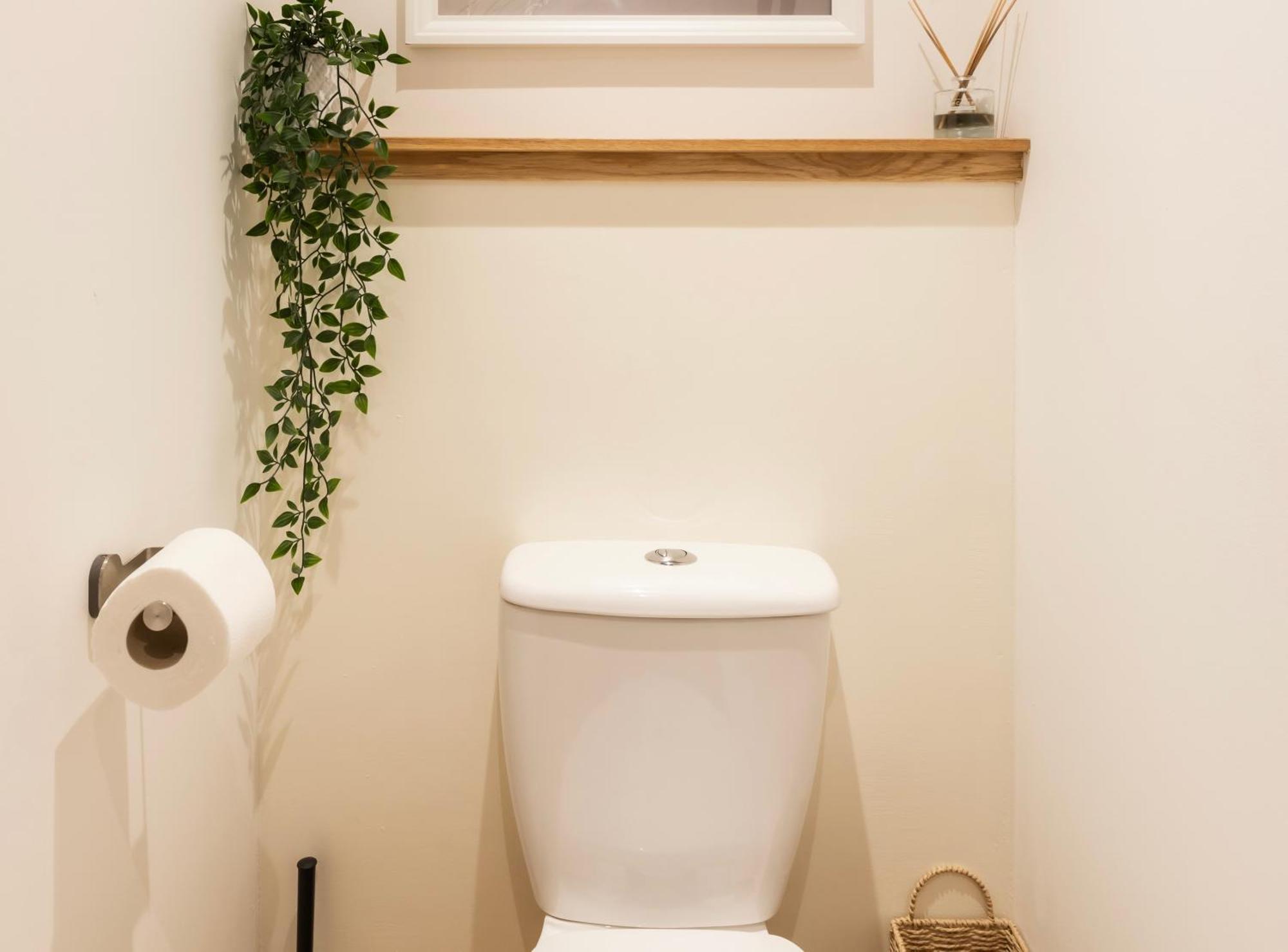 Tucked Away - Seaside Home In Anstruther Sleeps 6 المظهر الخارجي الصورة